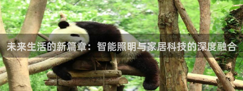 yd云顶国际