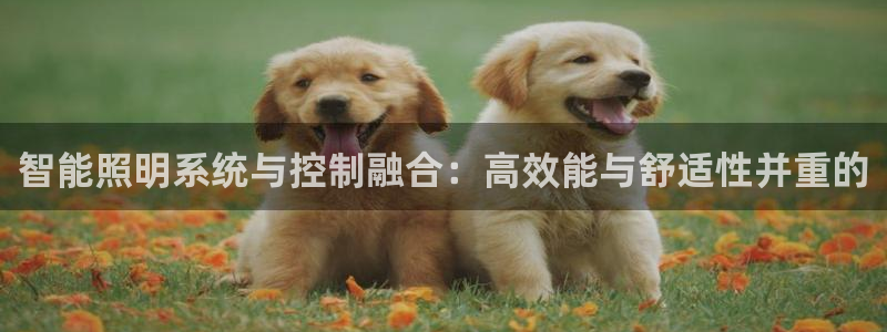 云顶国际俱乐部电话