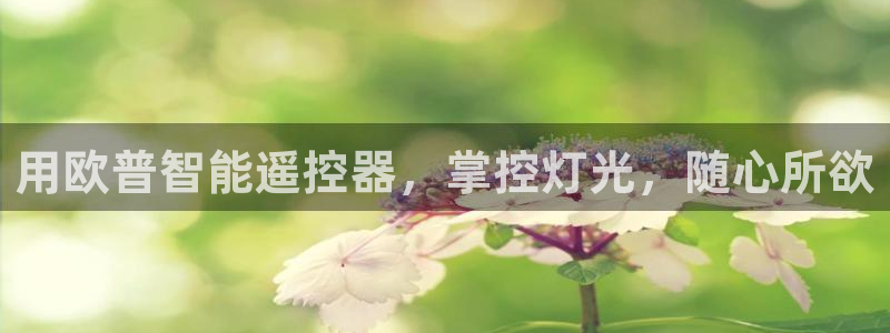 云顶国际服怎么换服务器