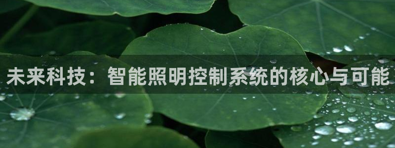 云顶国际电子游戏官网