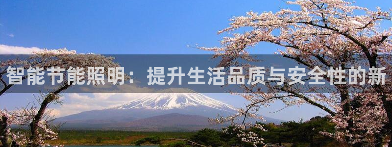 云顶国际二手房价格