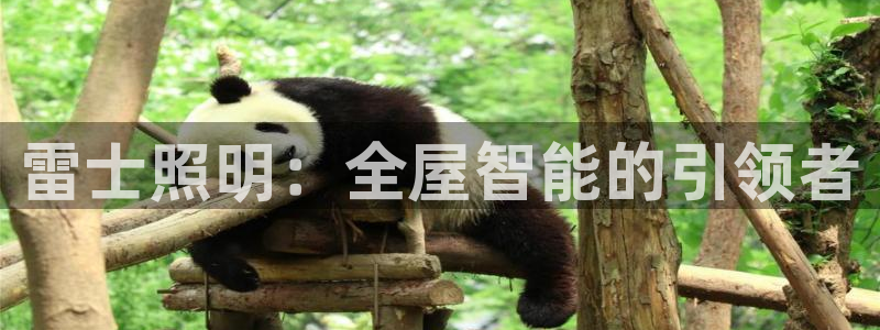 云顶国际下载