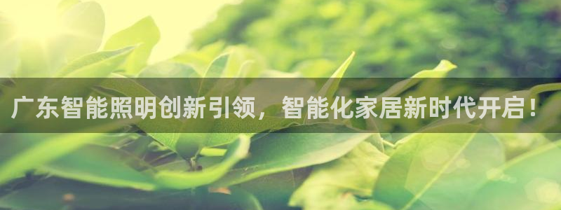 云顶国际服版本