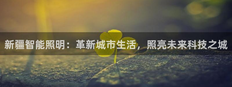 云顶国际公馆二手房