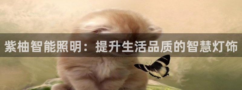 云顶国际广场