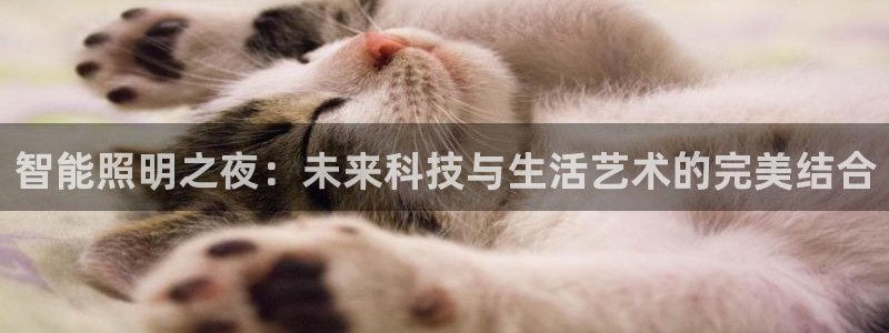 云顶国际游戏网址是什么