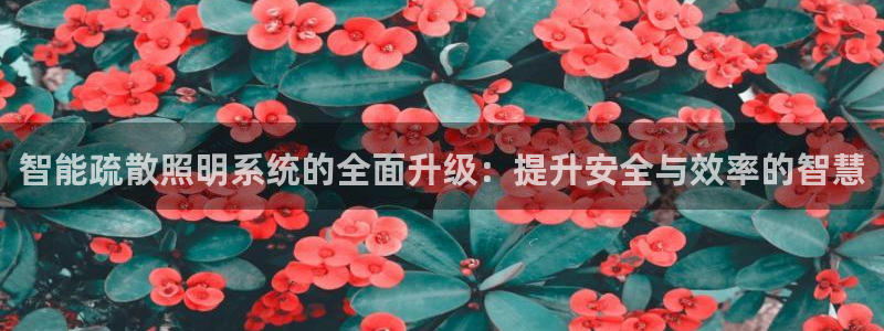 云顶国际app官方下载安装手机版