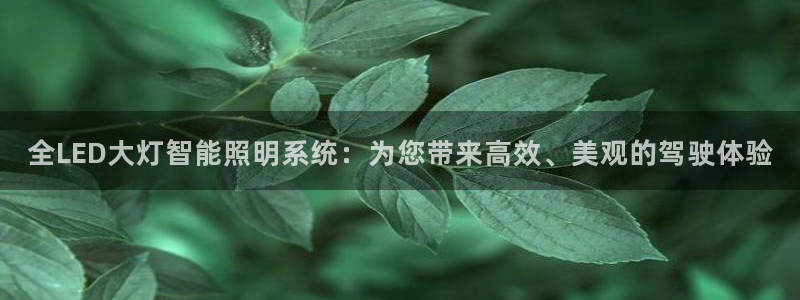 云顶集团老总个人资料