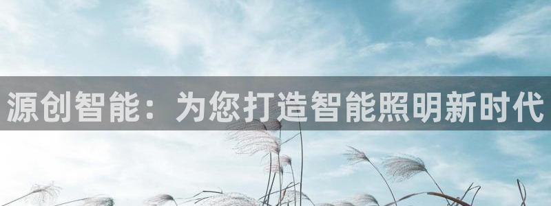云顶国际服s9更新时间：源创智能：为您打
