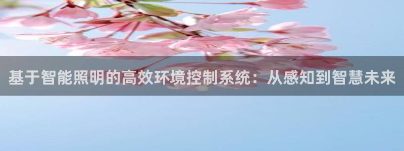 官方云顶国际网站下载