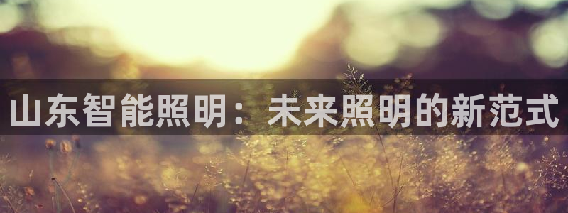 云顶12301网站：山东智能照明：未来照
