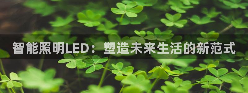 云顶国际实业有限公司