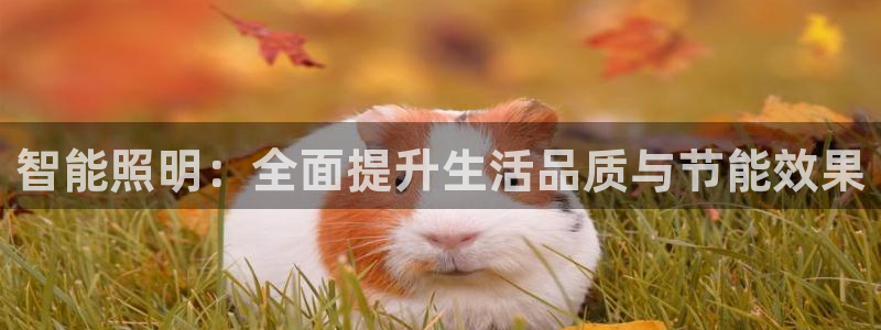 云顶国际城手机网址查询：智能照明：全面提