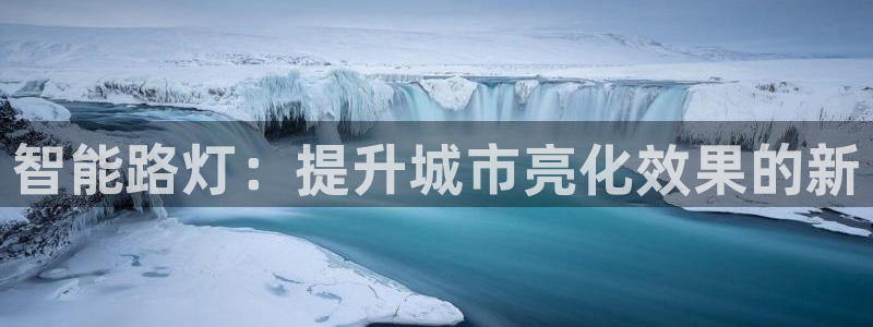 云顶国际服汉化：智能路灯：提升城市亮化效