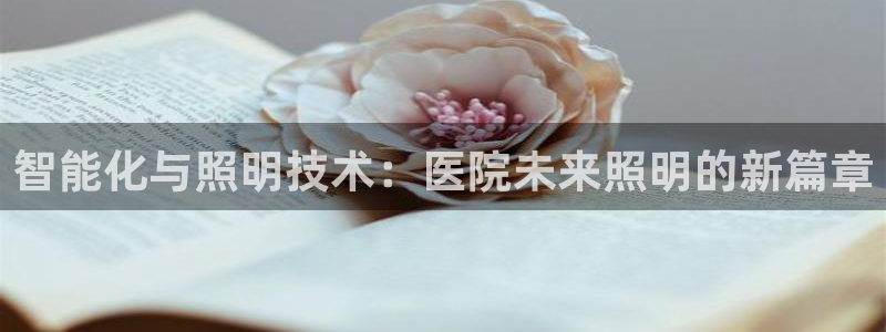 云顶国际房地产有限公司