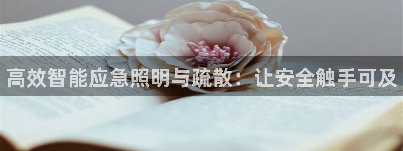 云顶集团总裁：高效智能应急照明与疏散：让