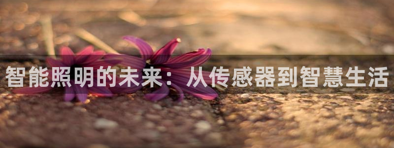 云顶国际平台为什么提现不了呢
