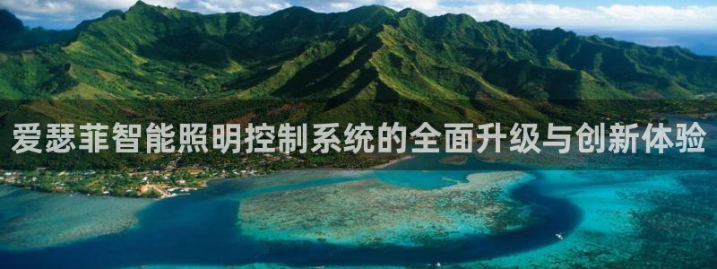 云顶集团网投领跑者