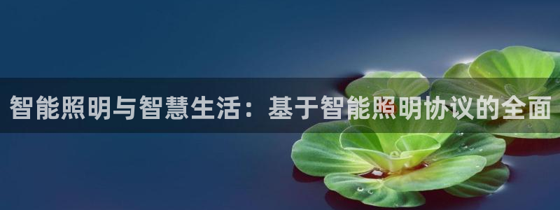 云顶国际足球app下载