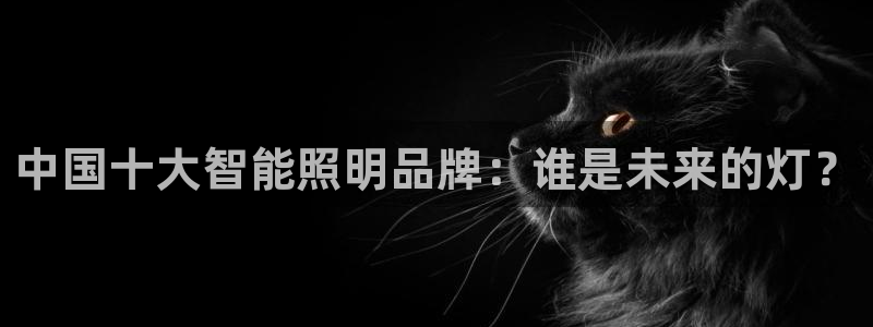 云顶国际软件官网下载