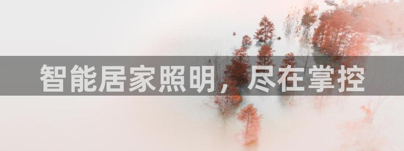 云顶国际游戏平台排行榜