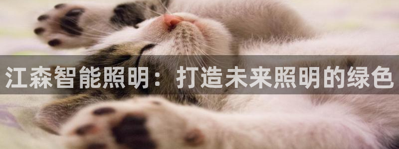 云顶国际测试服免费领取