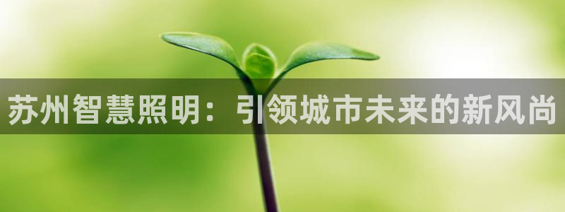 云顶国际大酒店有外卖吗