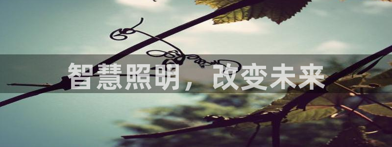 云顶国际是什么公司