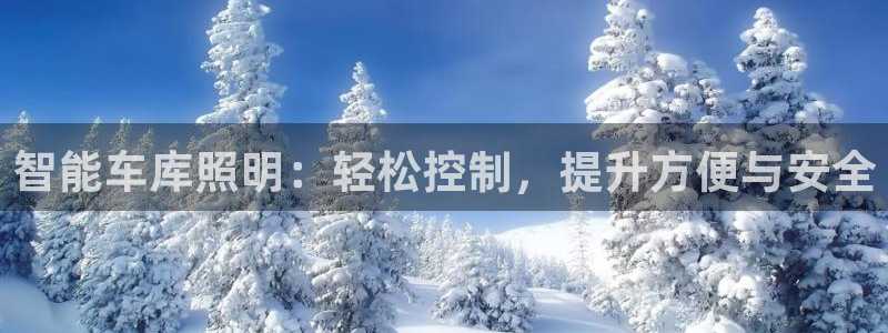 云顶国际服最新版：智能车库照明：轻松控制